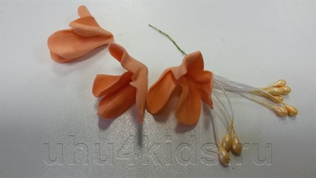 �������� ����� �� ��������� ������ ������